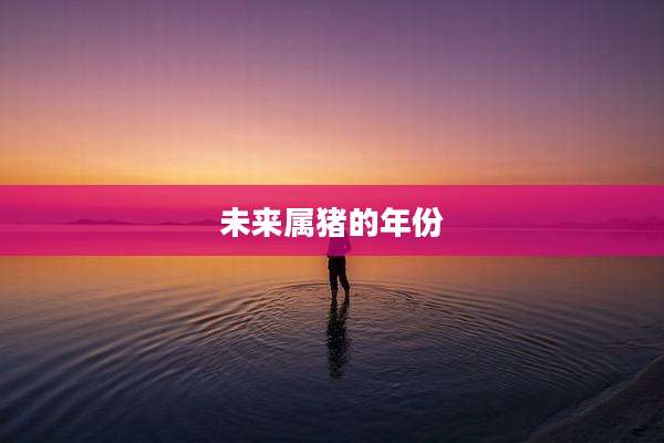 未来属猪的年份