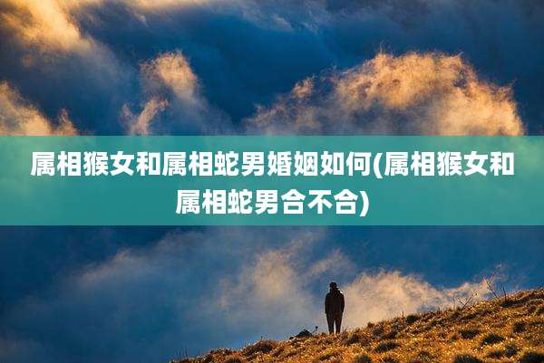 属相猴女和属相蛇男婚姻如何(属相猴女和属相蛇男合不合)