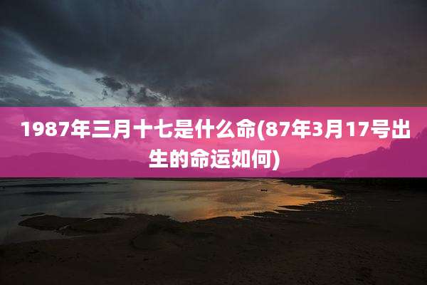 1987年三月十七是什么命(87年3月17号出生的命运如何)