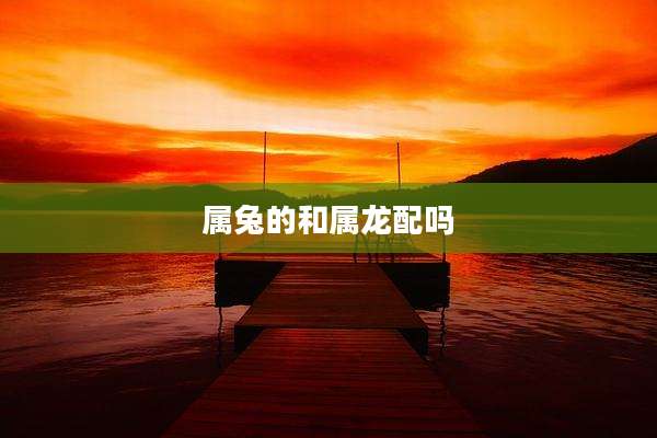属兔的和属龙配吗