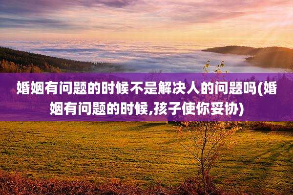 婚姻有问题的时候不是解决人的问题吗(婚姻有问题的时候,孩子使你妥协)