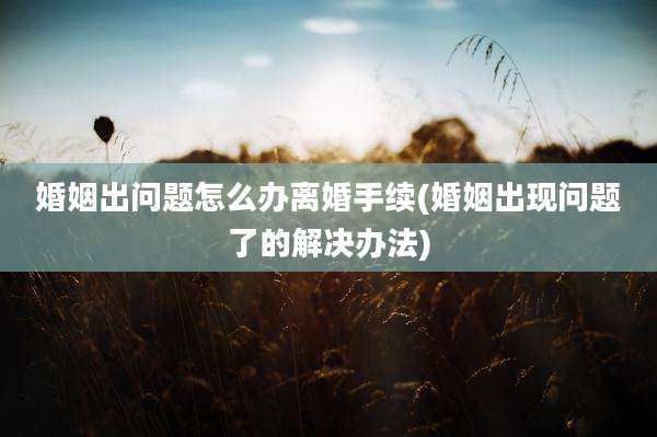 婚姻出问题怎么办离婚手续(婚姻出现问题了的解决办法)