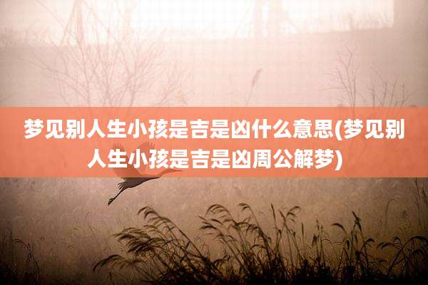 梦见别人生小孩是吉是凶什么意思(梦见别人生小孩是吉是凶周公解梦)