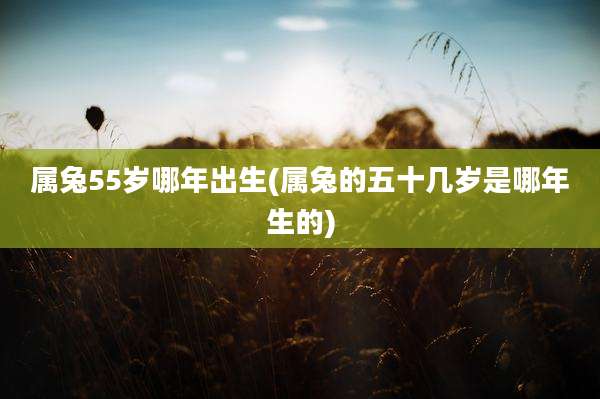 属兔55岁哪年出生(属兔的五十几岁是哪年生的)