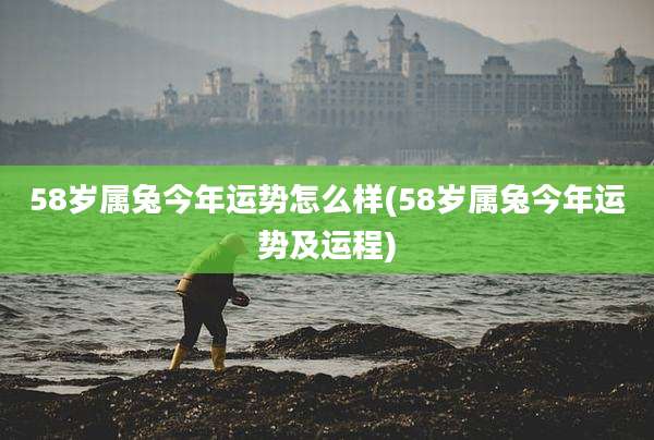 58岁属兔今年运势怎么样(58岁属兔今年运势及运程)