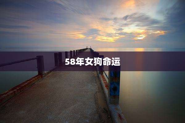 58年女狗命运