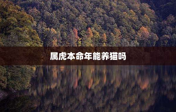 属虎本命年能养猫吗