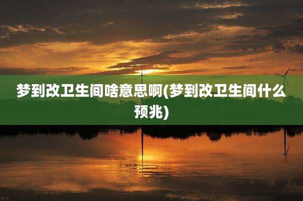 梦到改卫生间啥意思啊(梦到改卫生间什么预兆)