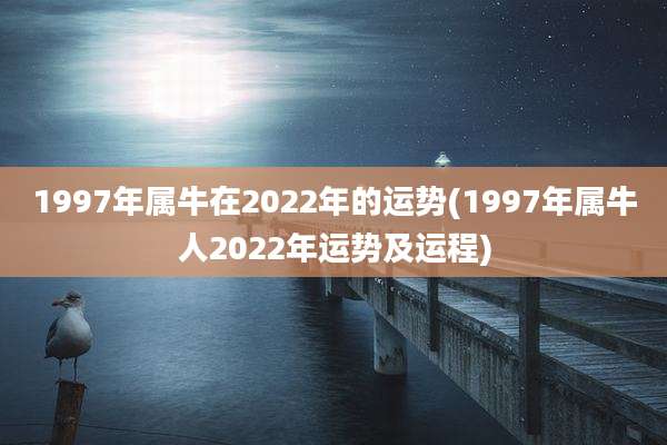 1997年属牛在2022年的运势(1997年属牛人2022年运势及运程)