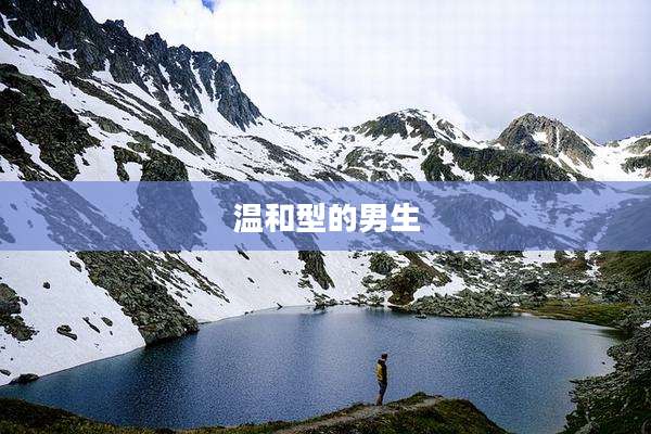 温和型的男生