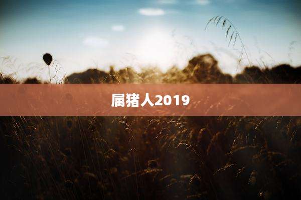 属猪人2019
