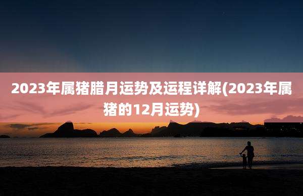 2023年属猪腊月运势及运程详解(2023年属猪的12月运势)