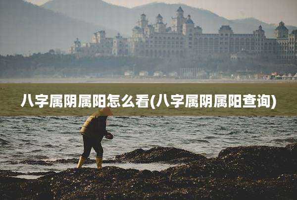 八字属阴属阳怎么看(八字属阴属阳查询)