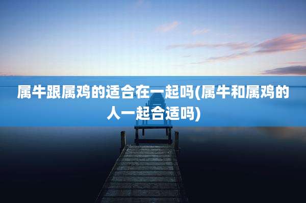 属牛跟属鸡的适合在一起吗(属牛和属鸡的人一起合适吗)