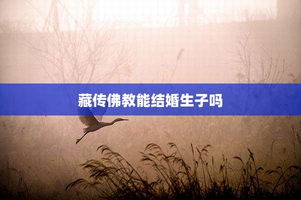 藏传佛教能结婚生子吗
