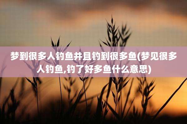 梦到很多人钓鱼并且钓到很多鱼(梦见很多人钓鱼,钓了好多鱼什么意思)