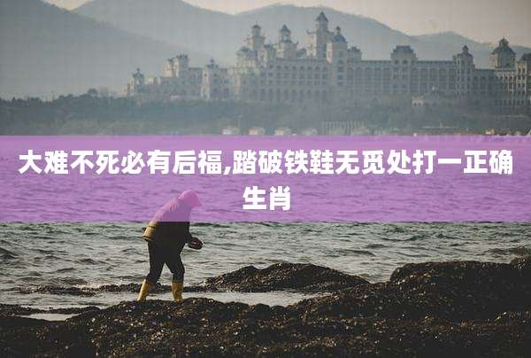 大难不死必有后福,踏破铁鞋无觅处打一正确生肖