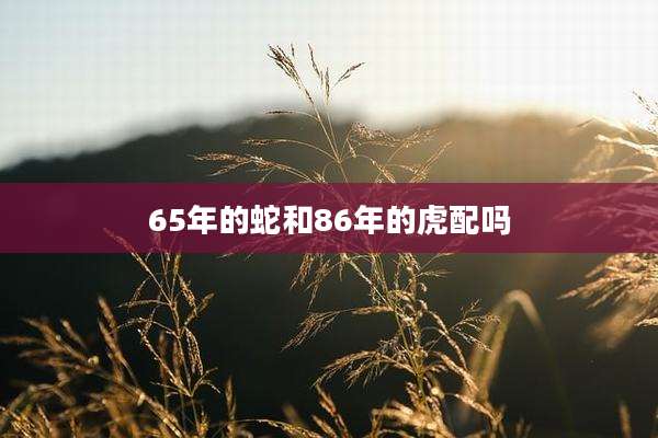 65年的蛇和86年的虎配吗
