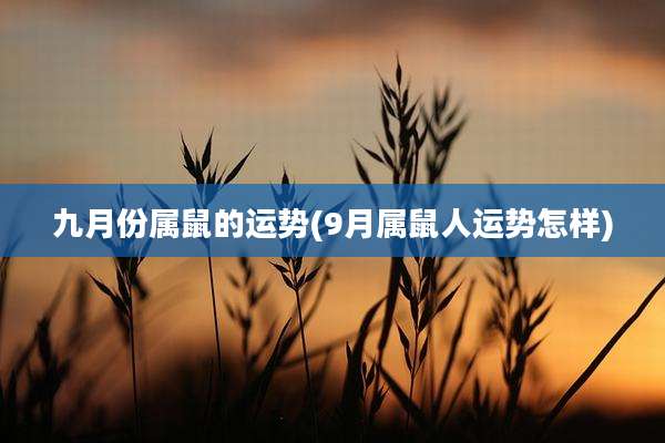 九月份属鼠的运势(9月属鼠人运势怎样)