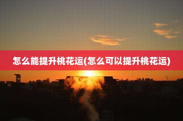 怎么能提升桃花运(怎么可以提升桃花运)