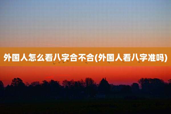 外国人怎么看八字合不合(外国人看八字准吗)