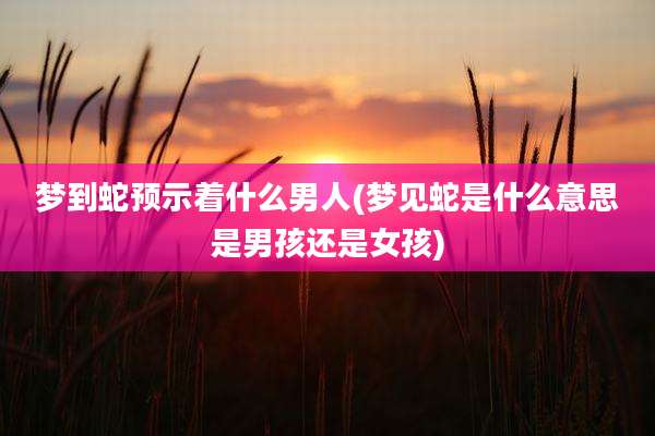 梦到蛇预示着什么男人(梦见蛇是什么意思是男孩还是女孩)