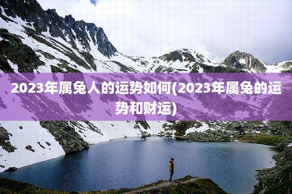 2023年属兔人的运势如何(2023年属兔的运势和财运)