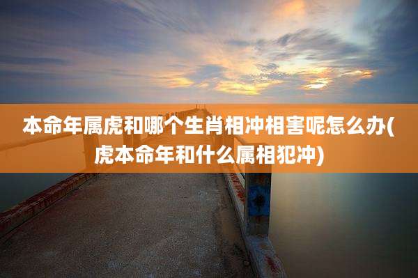 本命年属虎和哪个生肖相冲相害呢怎么办(虎本命年和什么属相犯冲)
