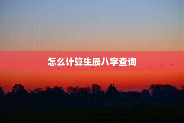怎么计算生辰八字查询