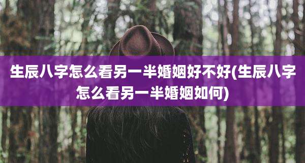 生辰八字怎么看另一半婚姻好不好(生辰八字怎么看另一半婚姻如何)