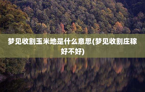 梦见收割玉米地是什么意思(梦见收割庄稼好不好)
