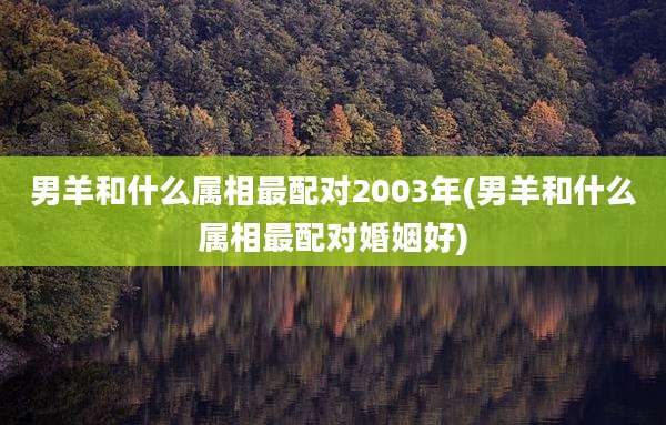 男羊和什么属相最配对2003年(男羊和什么属相最配对婚姻好)