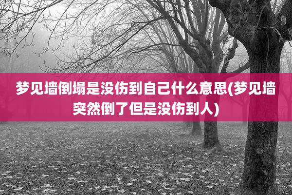 梦见墙倒塌是没伤到自己什么意思(梦见墙突然倒了但是没伤到人)