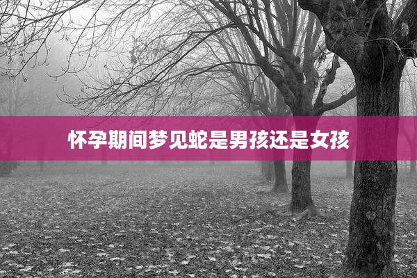 怀孕期间梦见蛇是男孩还是女孩