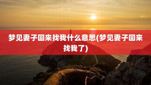 梦见妻子回来找我什么意思(梦见妻子回来找我了)