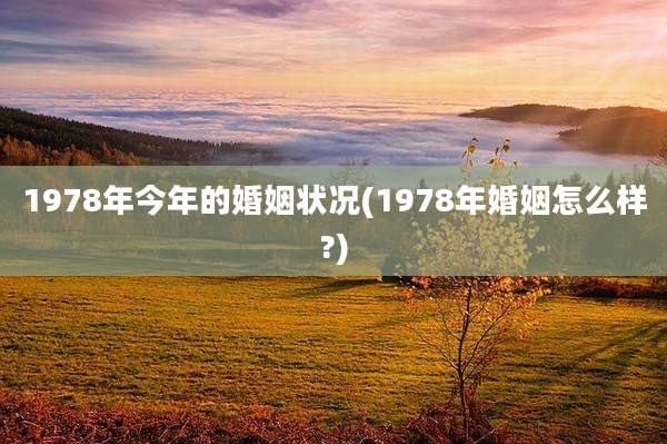 1978年今年的婚姻状况(1978年婚姻怎么样?)