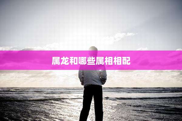 属龙和哪些属相相配