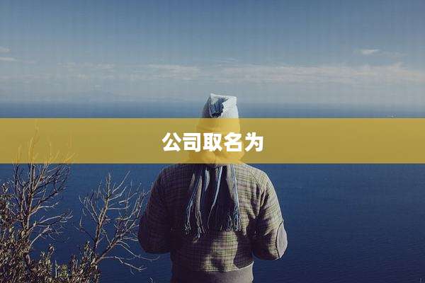 公司取名为