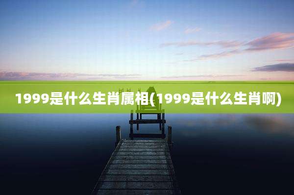 1999是什么生肖属相(1999是什么生肖啊)