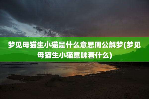 梦见母猫生小猫是什么意思周公解梦(梦见母猫生小猫意味着什么)