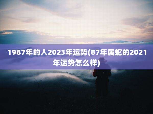 1987年的人2023年运势(87年属蛇的2021年运势怎么样)