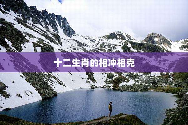 十二生肖的相冲相克