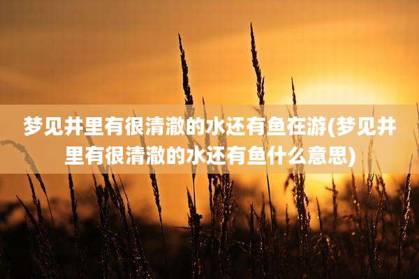 梦见井里有很清澈的水还有鱼在游(梦见井里有很清澈的水还有鱼什么意思)
