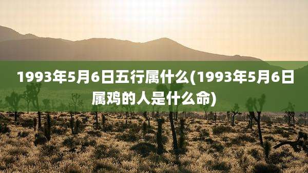1993年5月6日五行属什么(1993年5月6日属鸡的人是什么命)