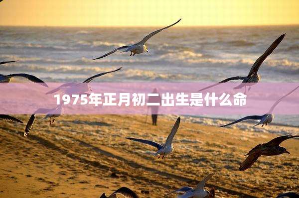 1975年正月初二出生是什么命