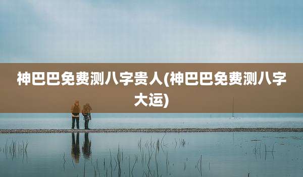 神巴巴免费测八字贵人(神巴巴免费测八字大运)
