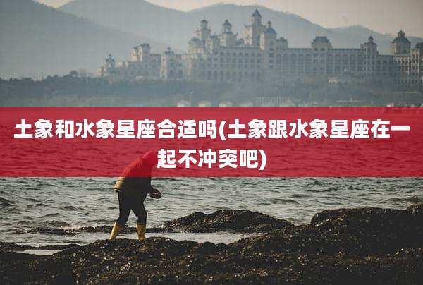土象和水象星座合适吗(土象跟水象星座在一起不冲突吧)