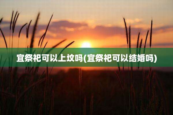 宜祭祀可以上坟吗(宜祭祀可以结婚吗)