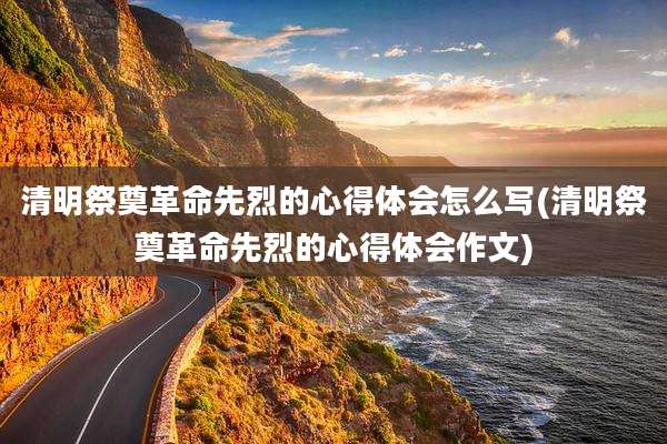 清明祭奠革命先烈的心得体会怎么写(清明祭奠革命先烈的心得体会作文)