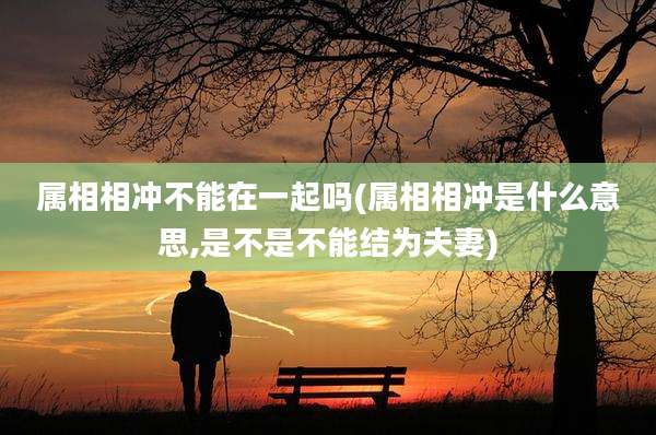 属相相冲不能在一起吗(属相相冲是什么意思,是不是不能结为夫妻)
